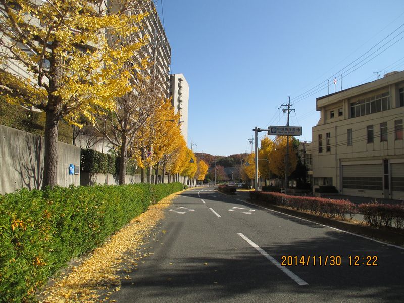 IMG_0764 IMG_0764