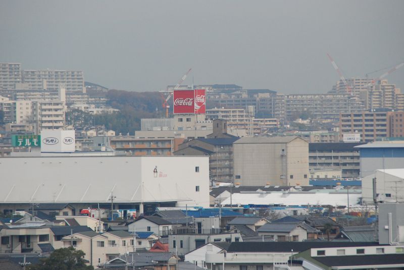 DSC_0948 DSC_0948