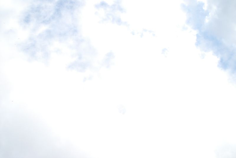 DSC_1042