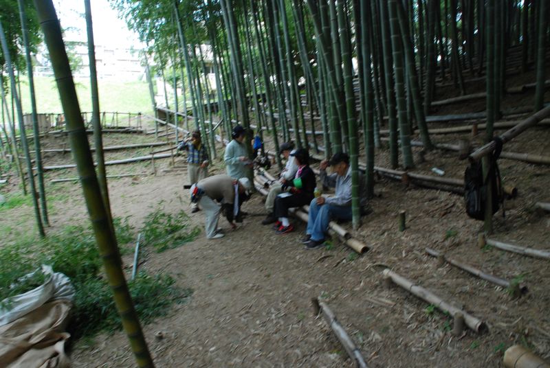 DSC_3959 DSC_3959