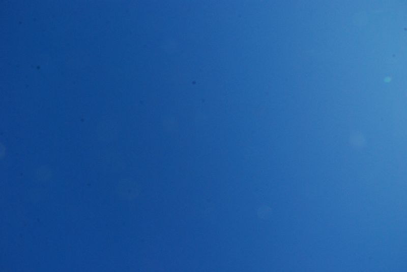 DSC_5664