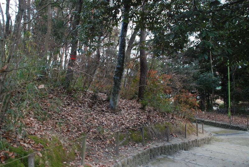 DSC_7041