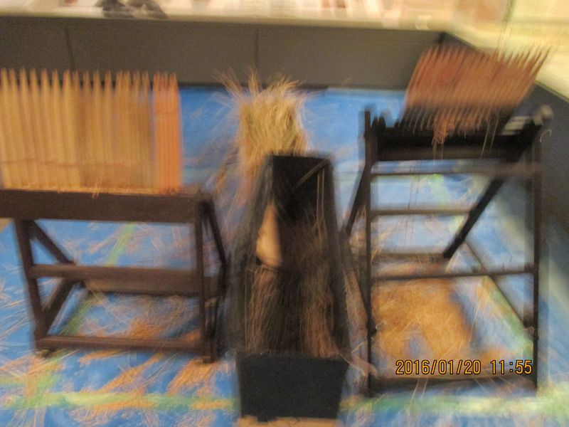 IMG_3870 IMG_3870