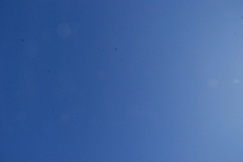 DSC_8605