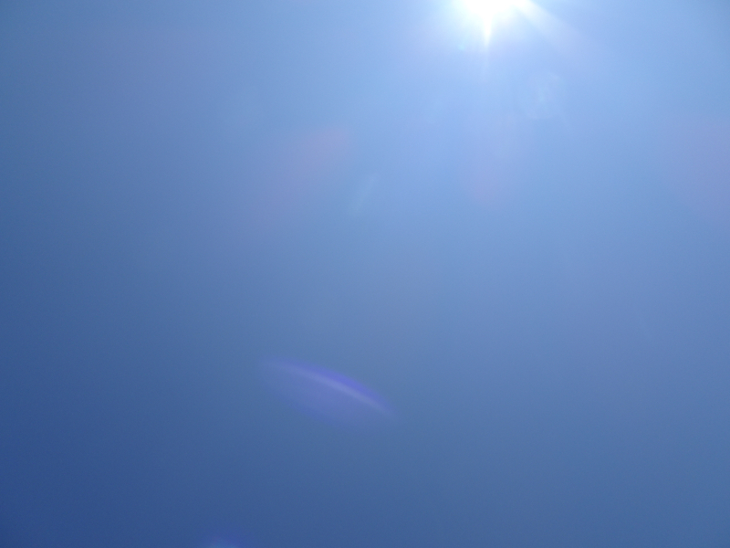 DSC08347
