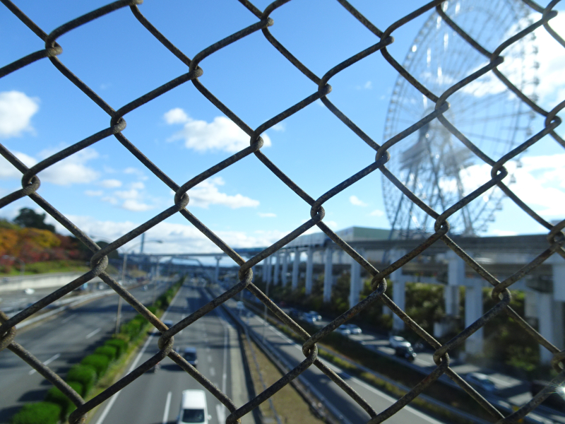 DSC01175
