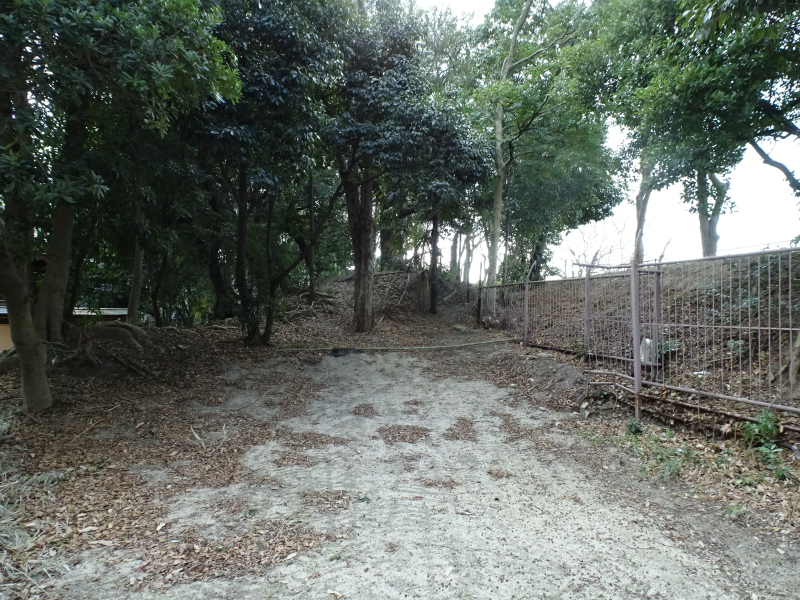 DSC03051