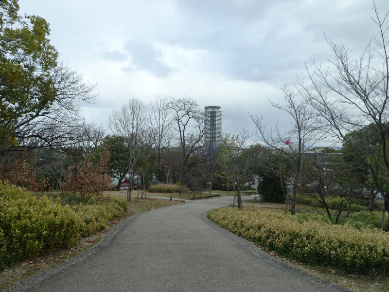 DSC03207