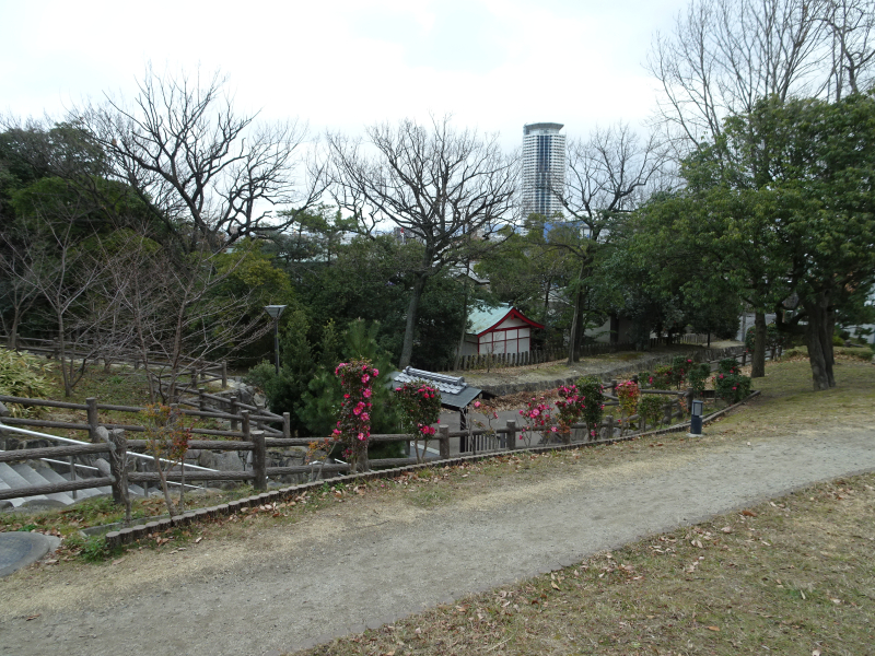 DSC03215