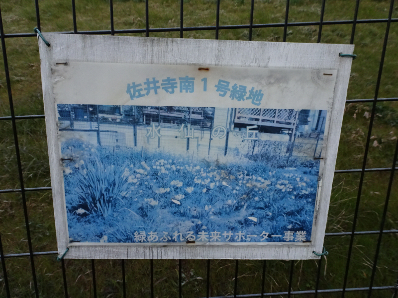 DSC03703