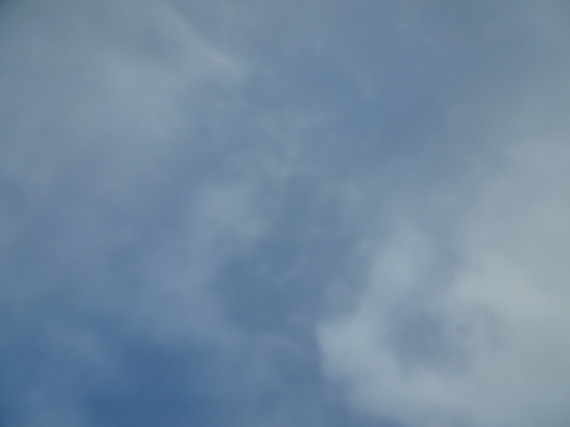 DSC08312