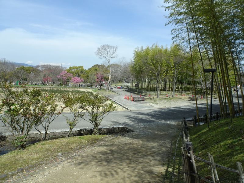 DSC07655