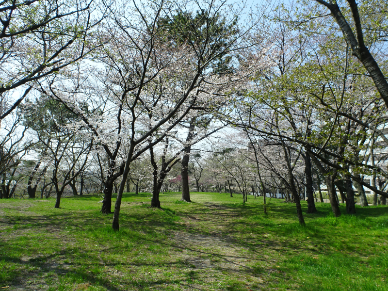 DSC08878 DSC08878