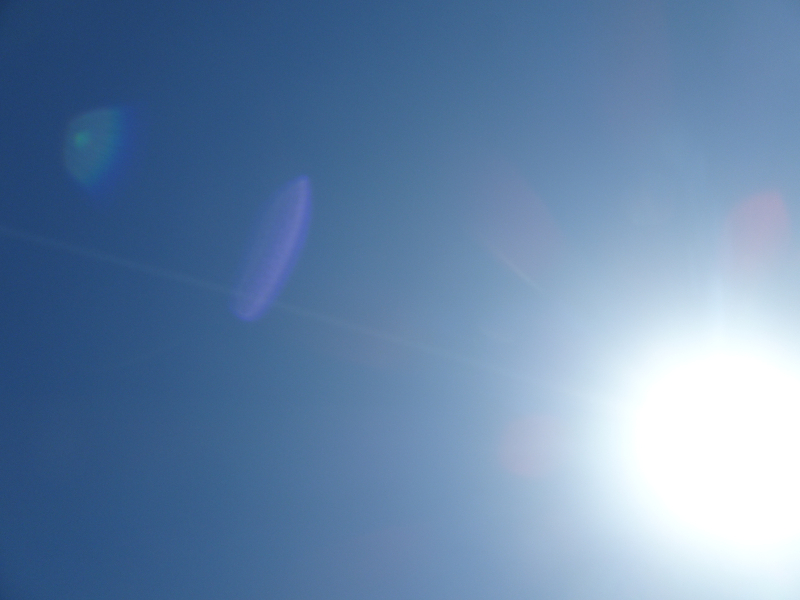 DSC08458