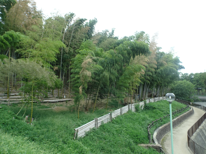 DSC00170