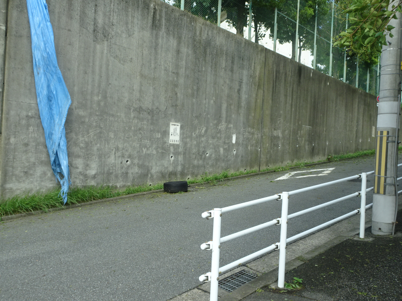 DSC00903