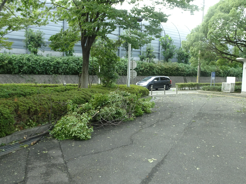 DSC00919