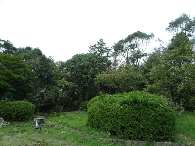 DSC02794