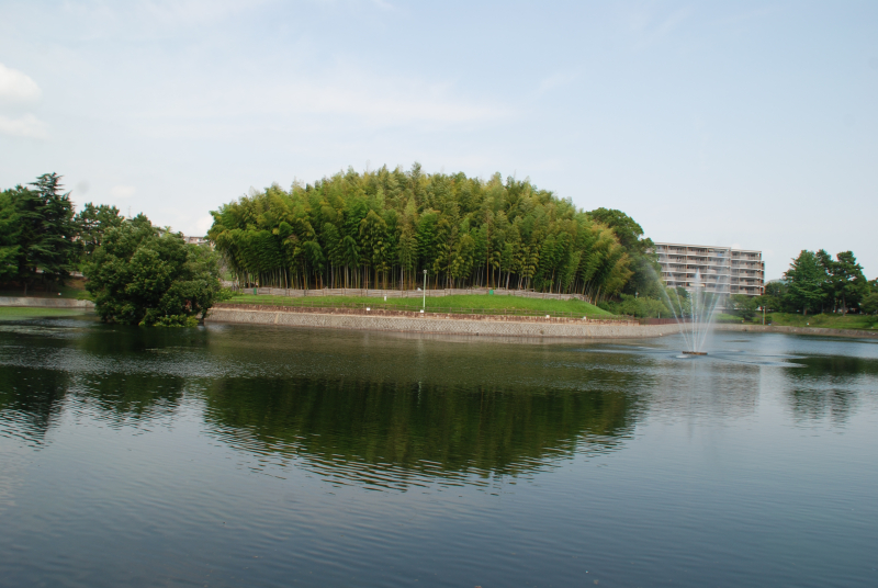 ３　桃山公園の全景　DSC_9500