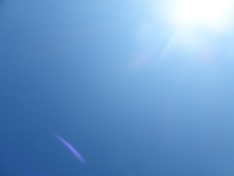 DSC08656
