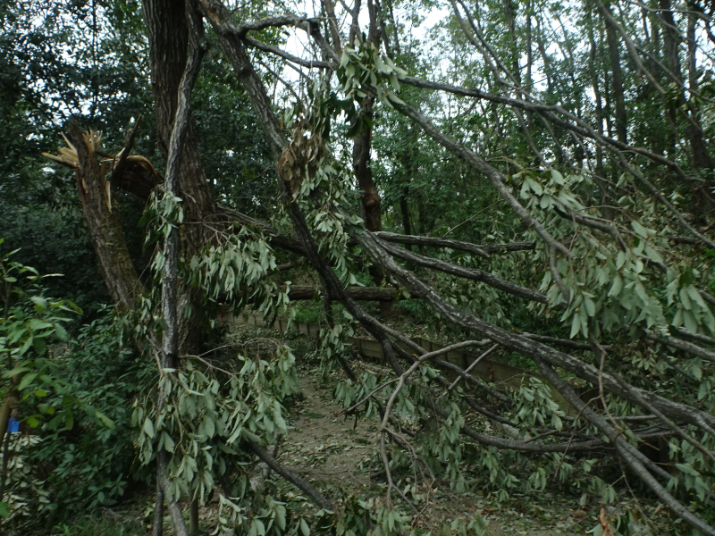 DSC02442