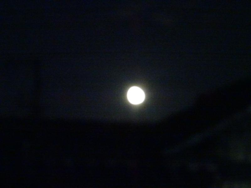 DSC02139 DSC02139