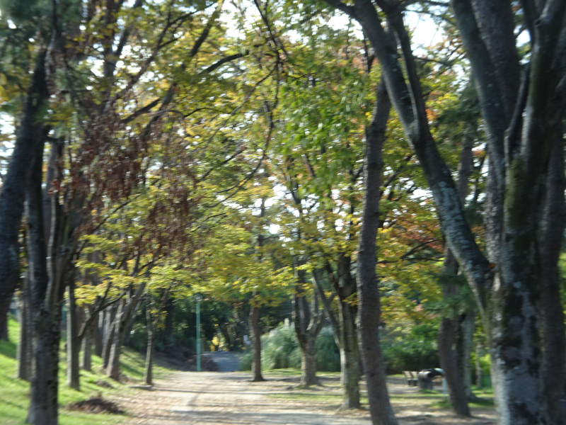 DSC02363