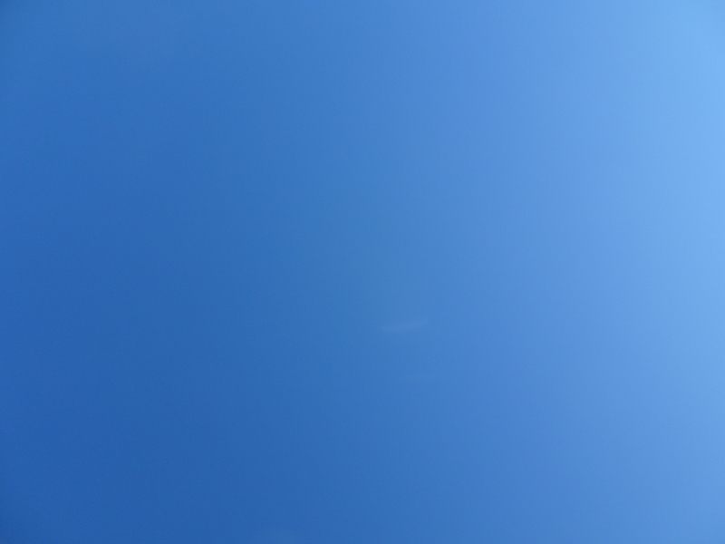 DSC03898