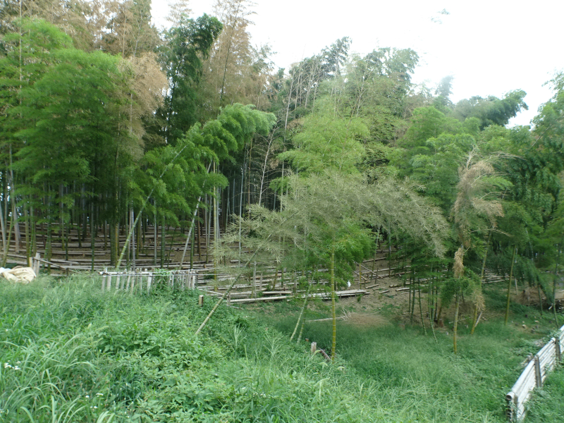 DSC00175
