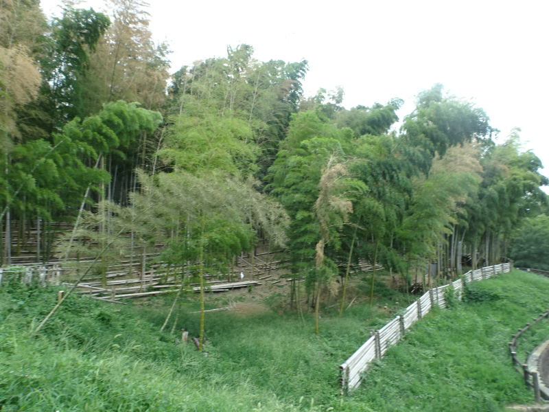 DSC00174