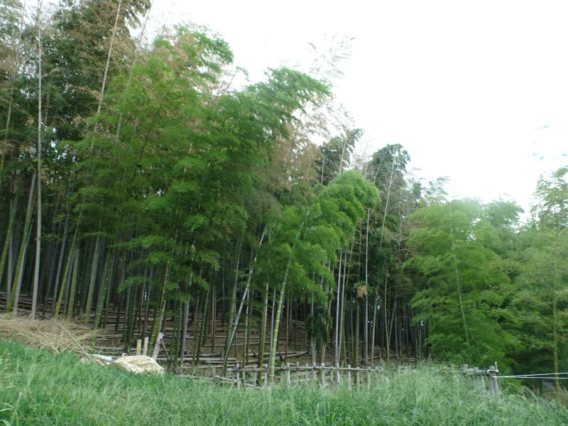 DSC00190