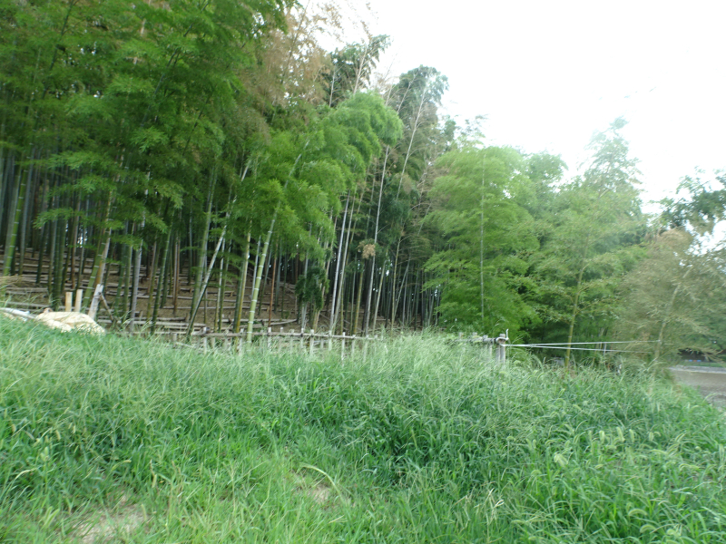 DSC00189