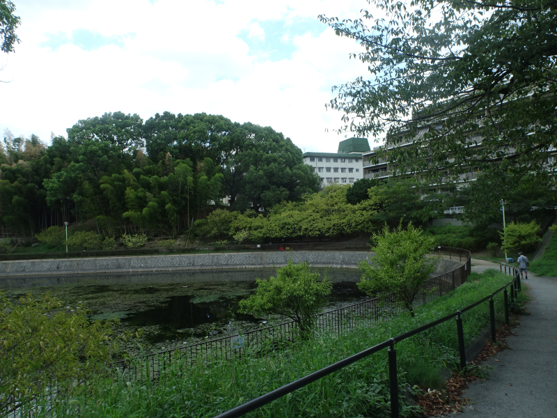 DSC00202