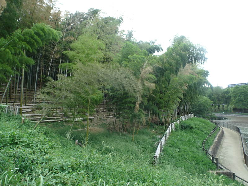 DSC00195