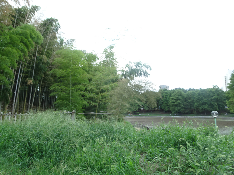DSC00191