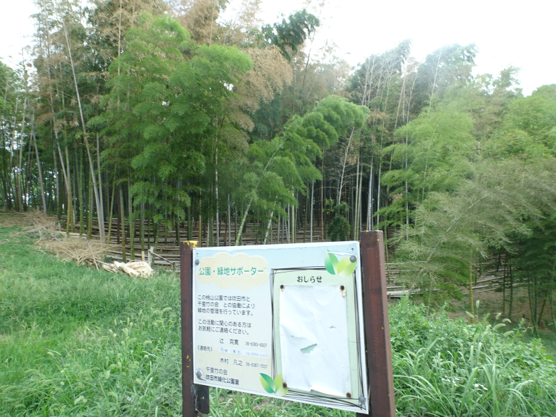 DSC00198