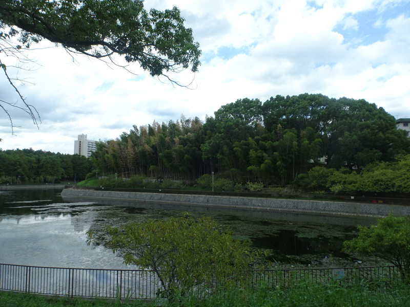 DSC00201