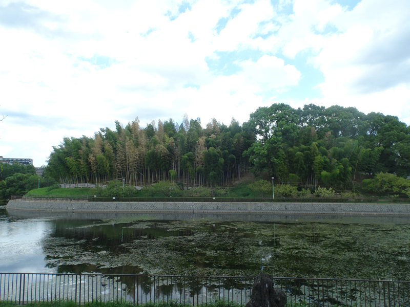 DSC00205