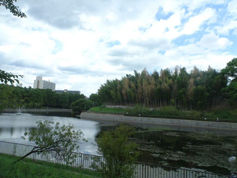 DSC00211