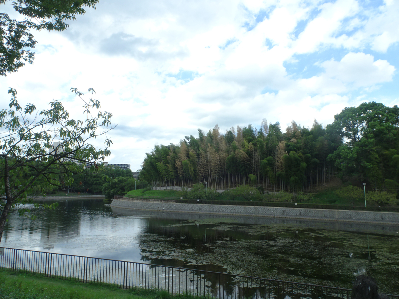 DSC00208