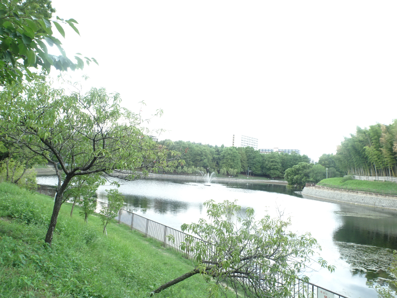 DSC00217