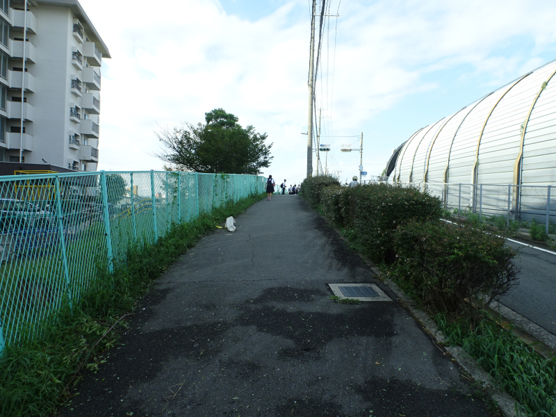 DSC00831
