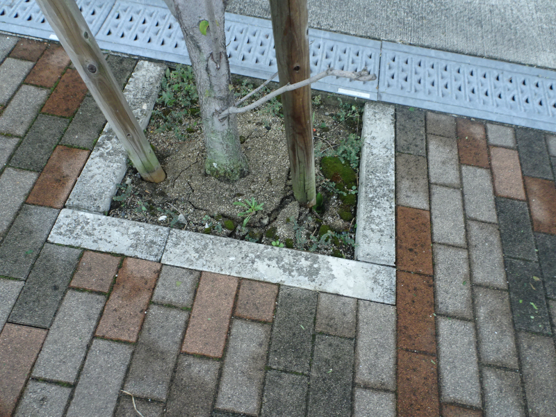 DSC00828
