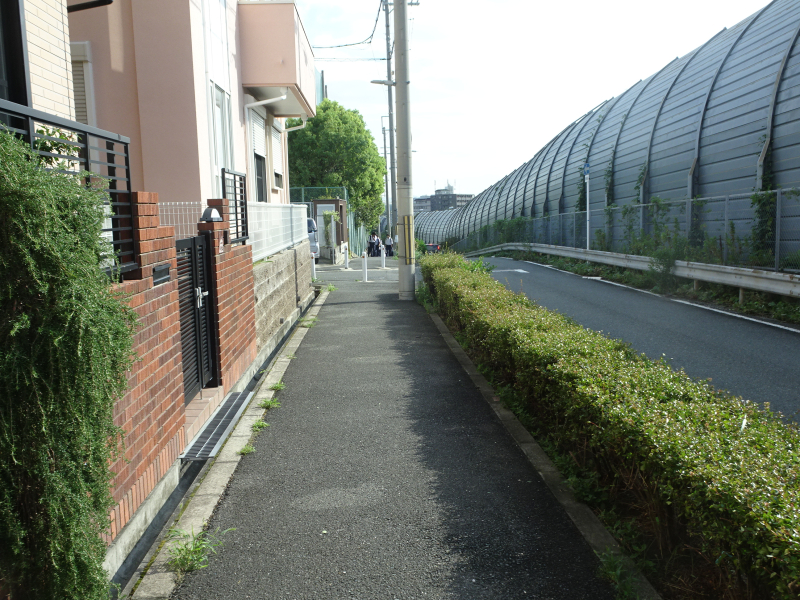 DSC00878