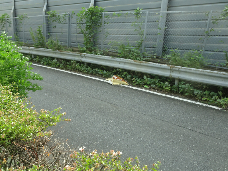 DSC00880