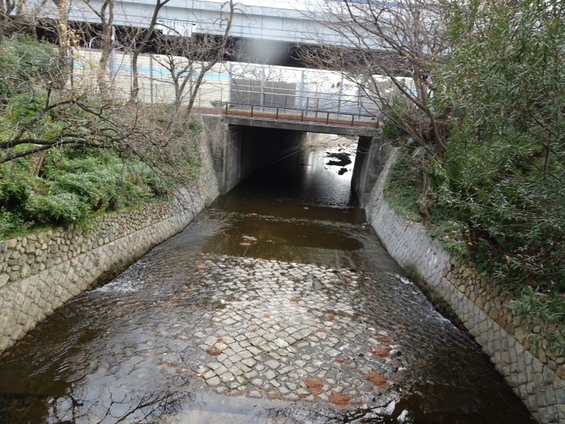 DSC06204