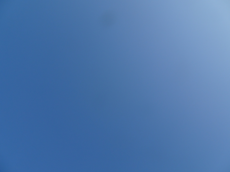 DSC09976