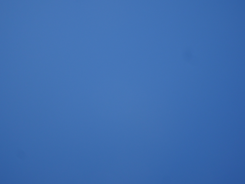 DSC03955