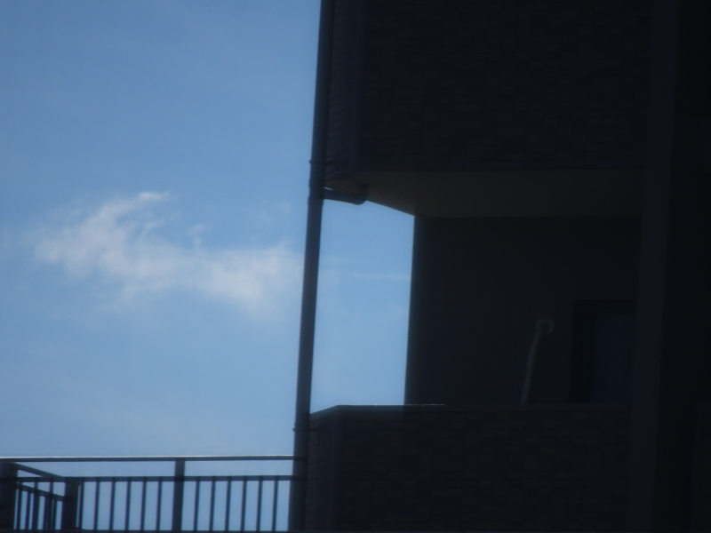 DSC04155