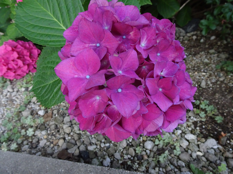 DSC02045